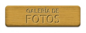 Boton galeria